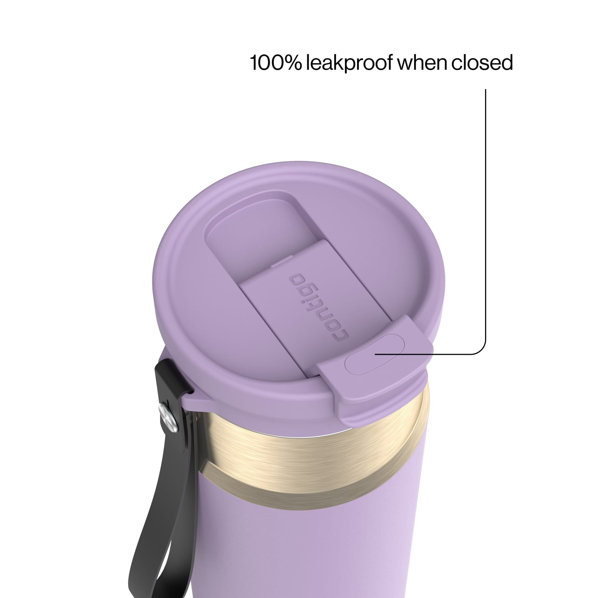 Contigo DualSip 24 oz Leakproof Insulated Water Bottle with Carrying Strap and 2-Way Lid M41G