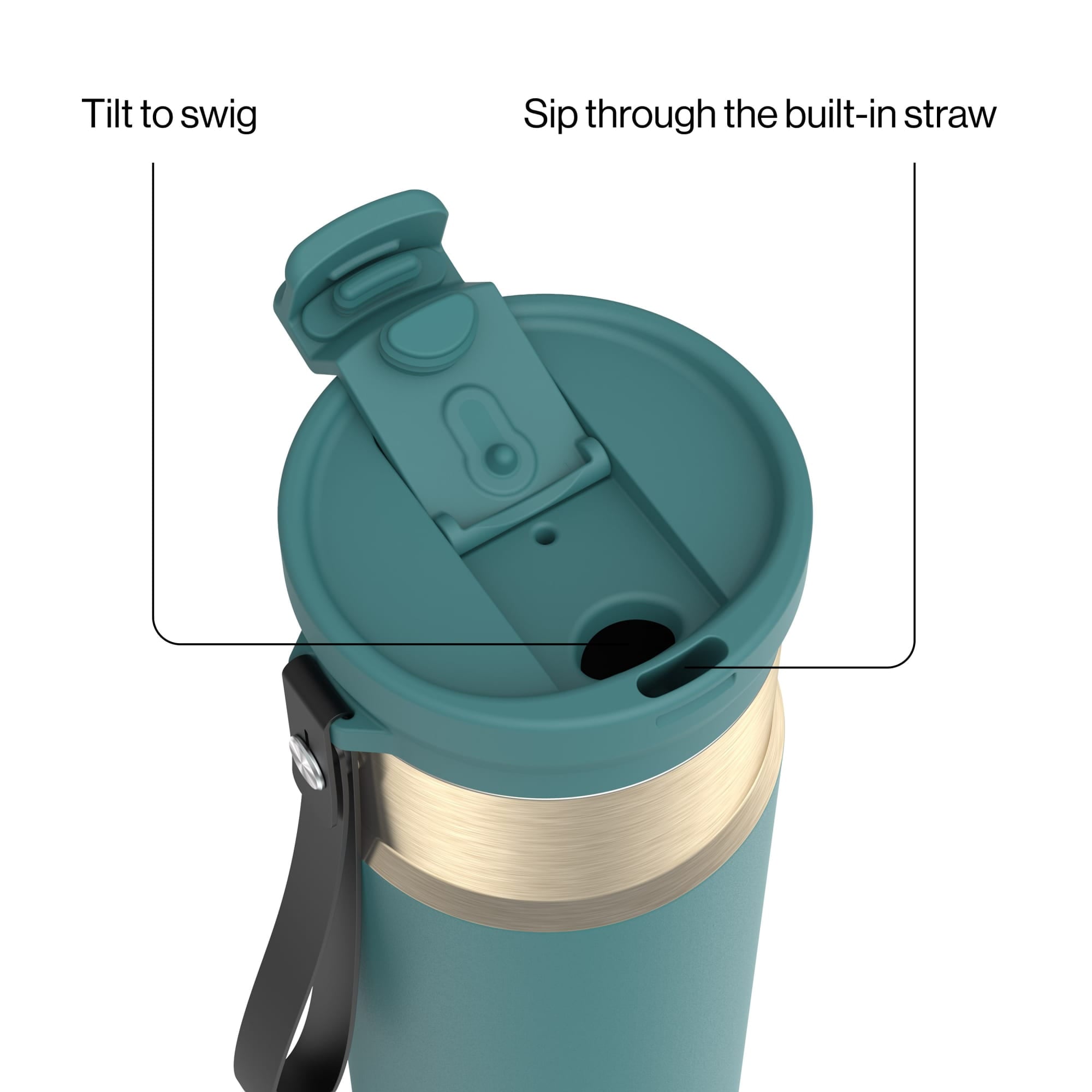 Contigo DualSip 24 oz Leakproof Insulated Water Bottle with Carrying Strap and 2-Way Lid M41G