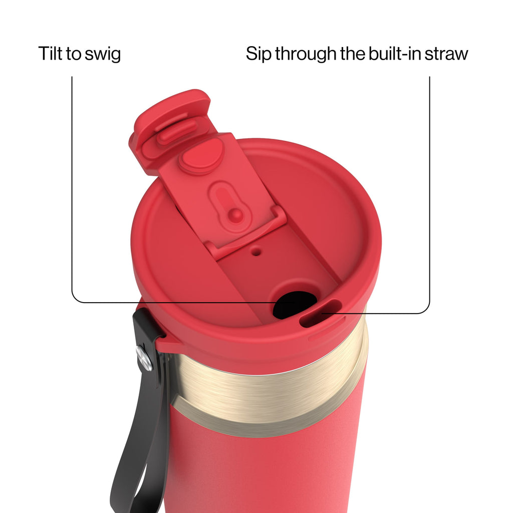 Contigo DualSip 24 oz Leakproof Insulated Water Bottle with Carrying Strap and 2-Way Lid M41G