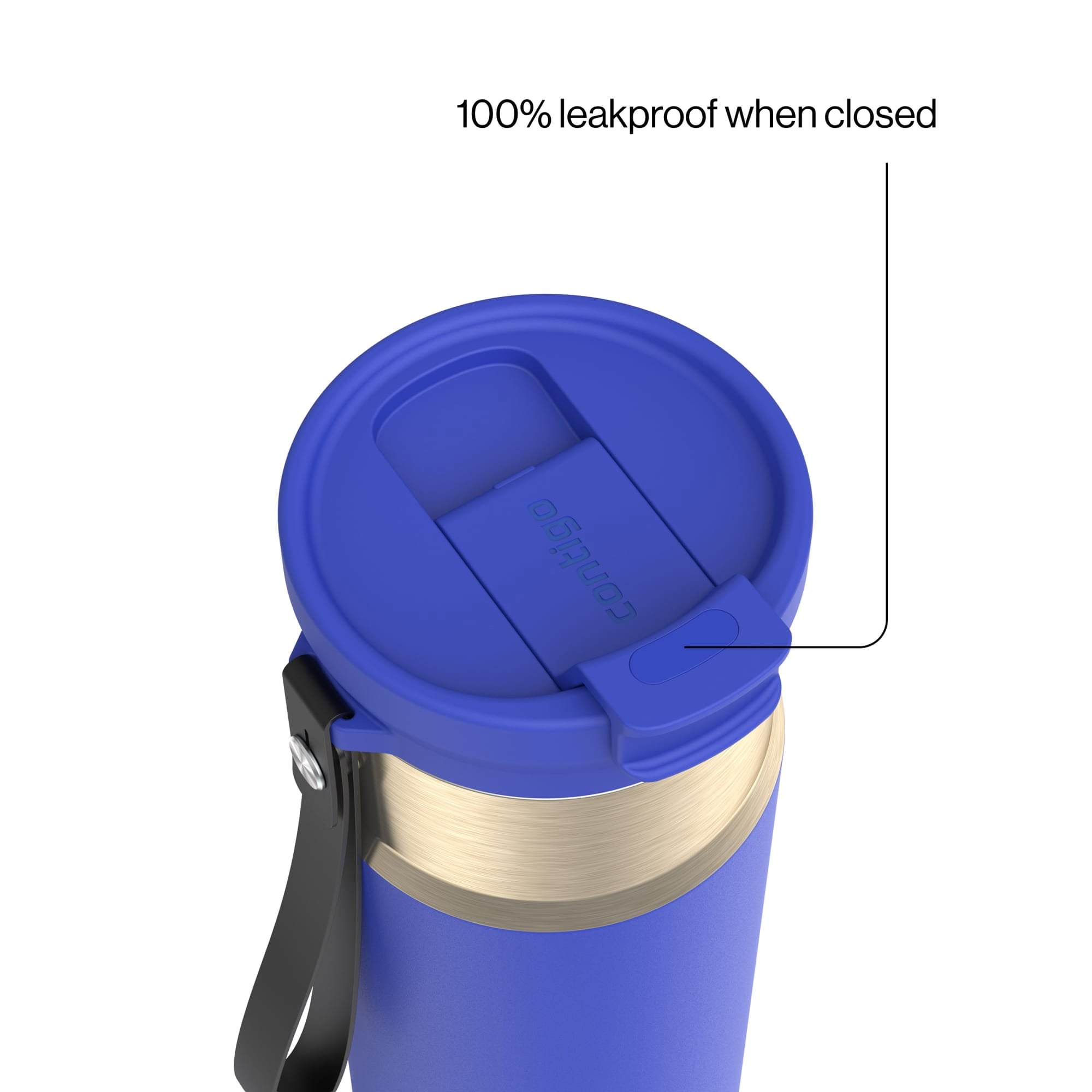 Contigo DualSip 24 oz Leakproof Insulated Water Bottle with Carrying Strap and 2-Way Lid M41G