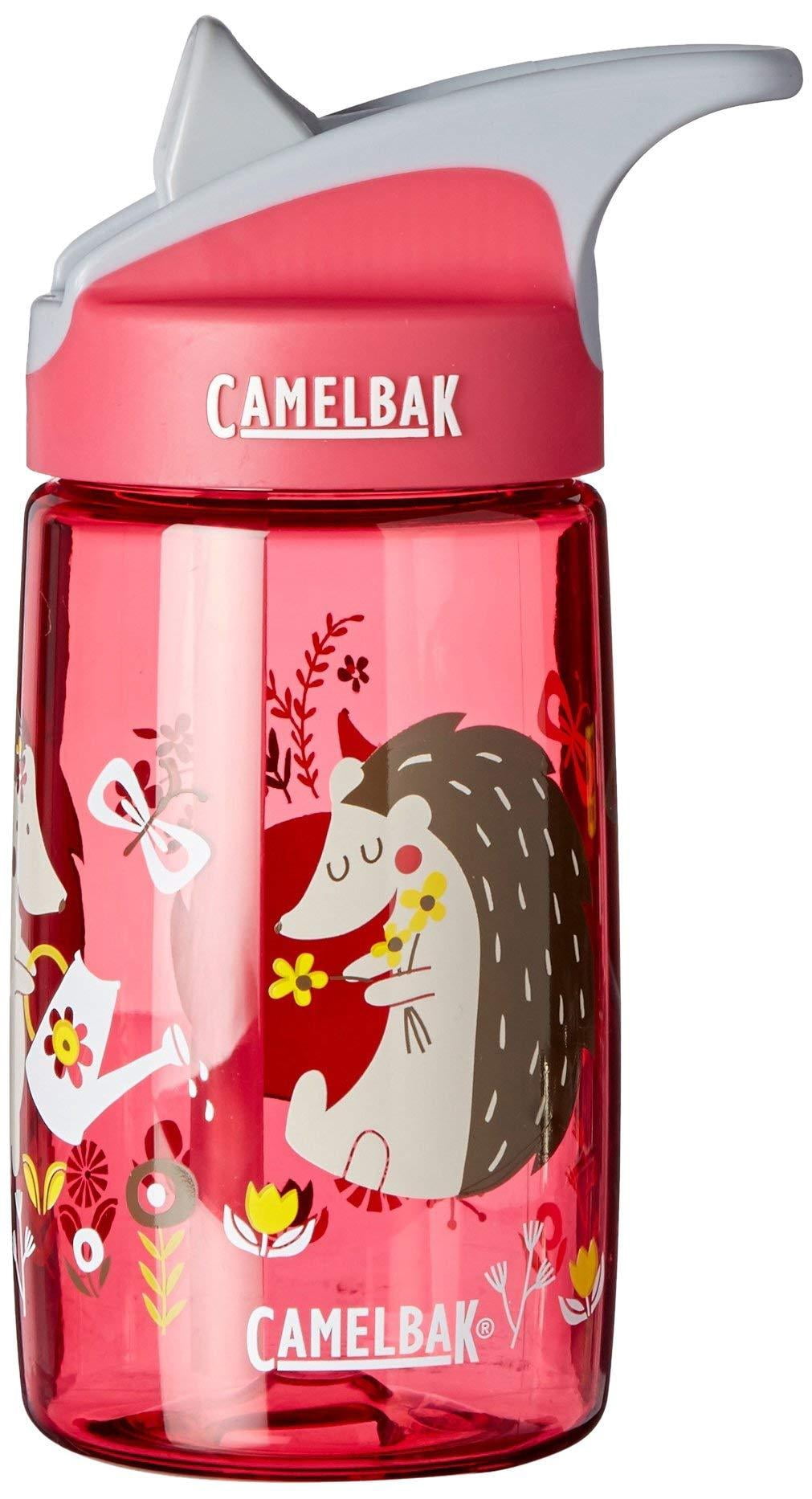 CamelBak Eddy Kids Water Bottle, Airplane Bandits.4 L M310Y