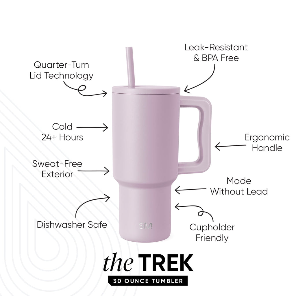 Simple Modern 30 fl oz Insulated Stainless Steel Trek Tumbler with Straw Lid | Seaglass Sage and Cream Checkmate M690W