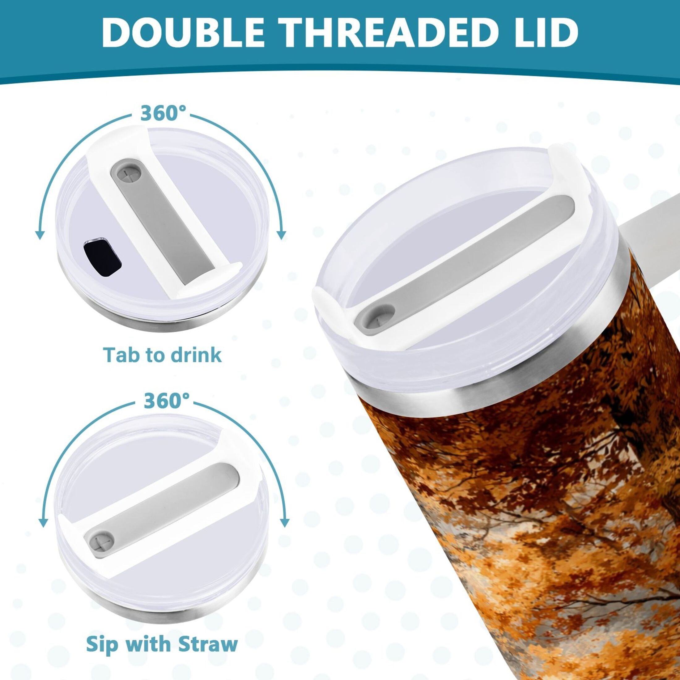 30 oz Insulated Stainless Steel Tumbler Double Wall Stainless Steel Tumbler with 2-Way Drinking Beautiful Autumn Forest M556T