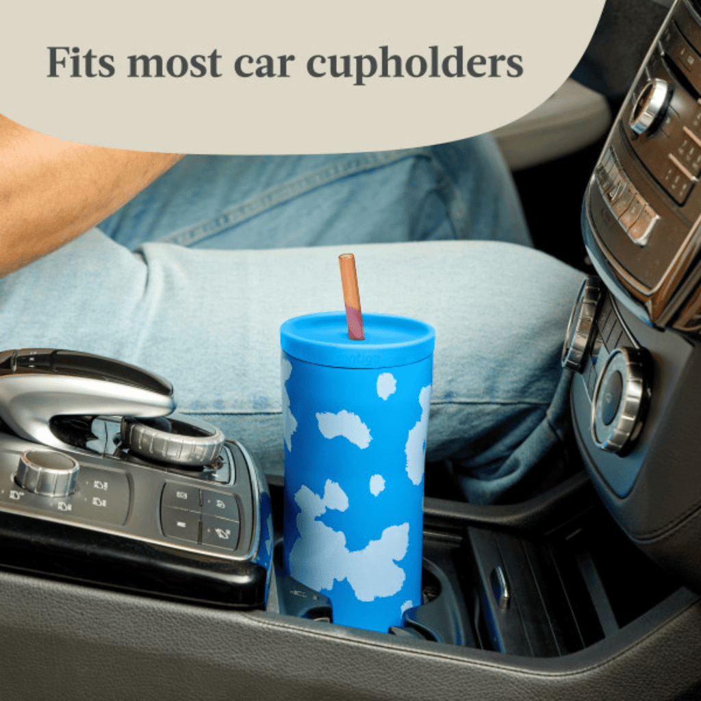 Contigo x Ally Love Streeterville 2.0 Stainless Steel Tumbler with Straw, 24 oz, Stellar Jay M112B