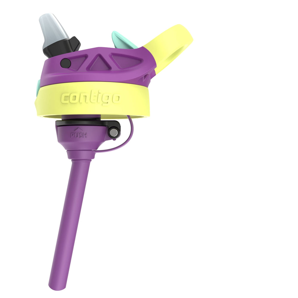 (4 pack) Contigo Kids Water Bottle with Redesigned AUTOSPOUT Straw, 14 oz, Grape Forest Haven M16S