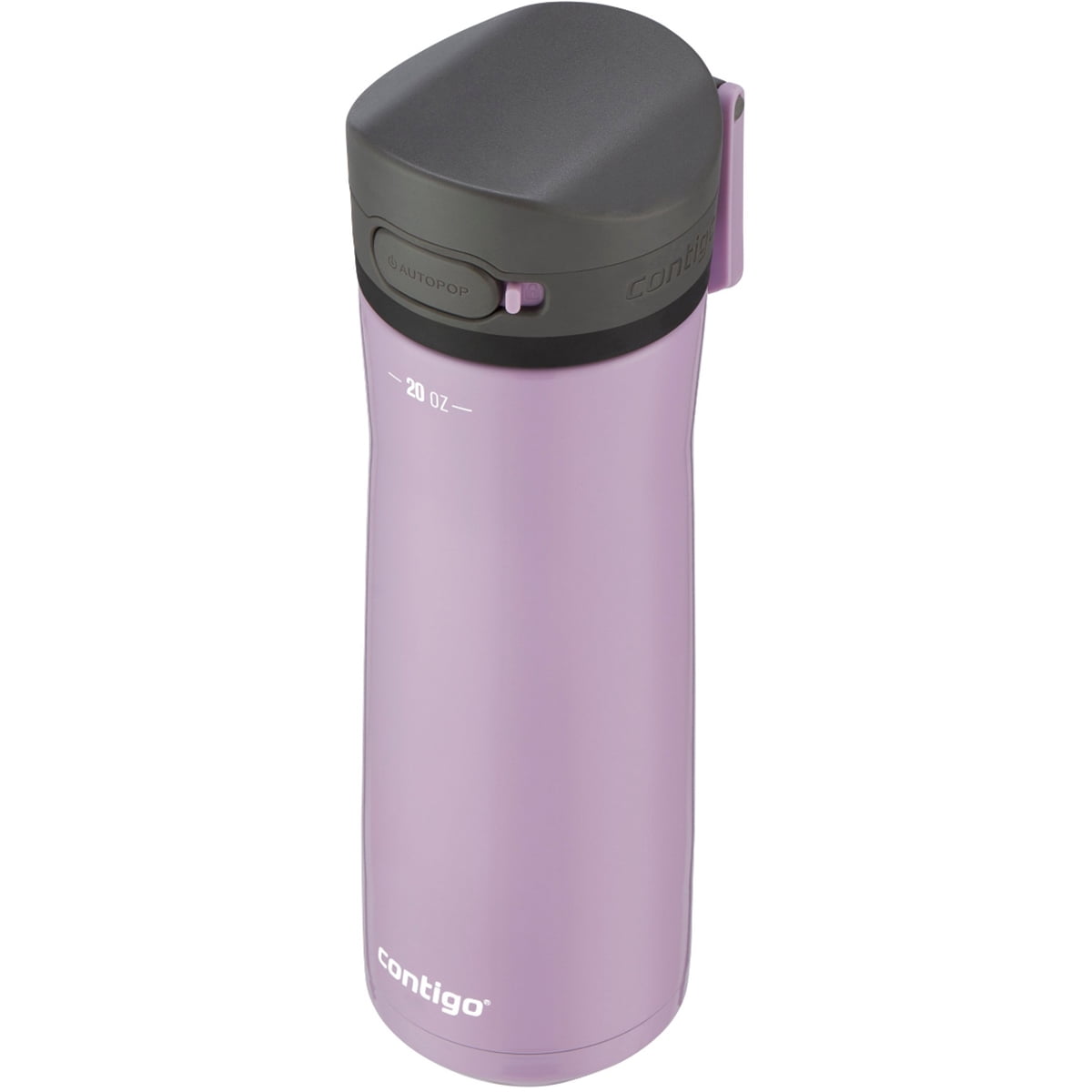 Contigo 20 oz. Jackson Chill 2.0 Water Bottle - Stainless Steel w/Licorice M59B