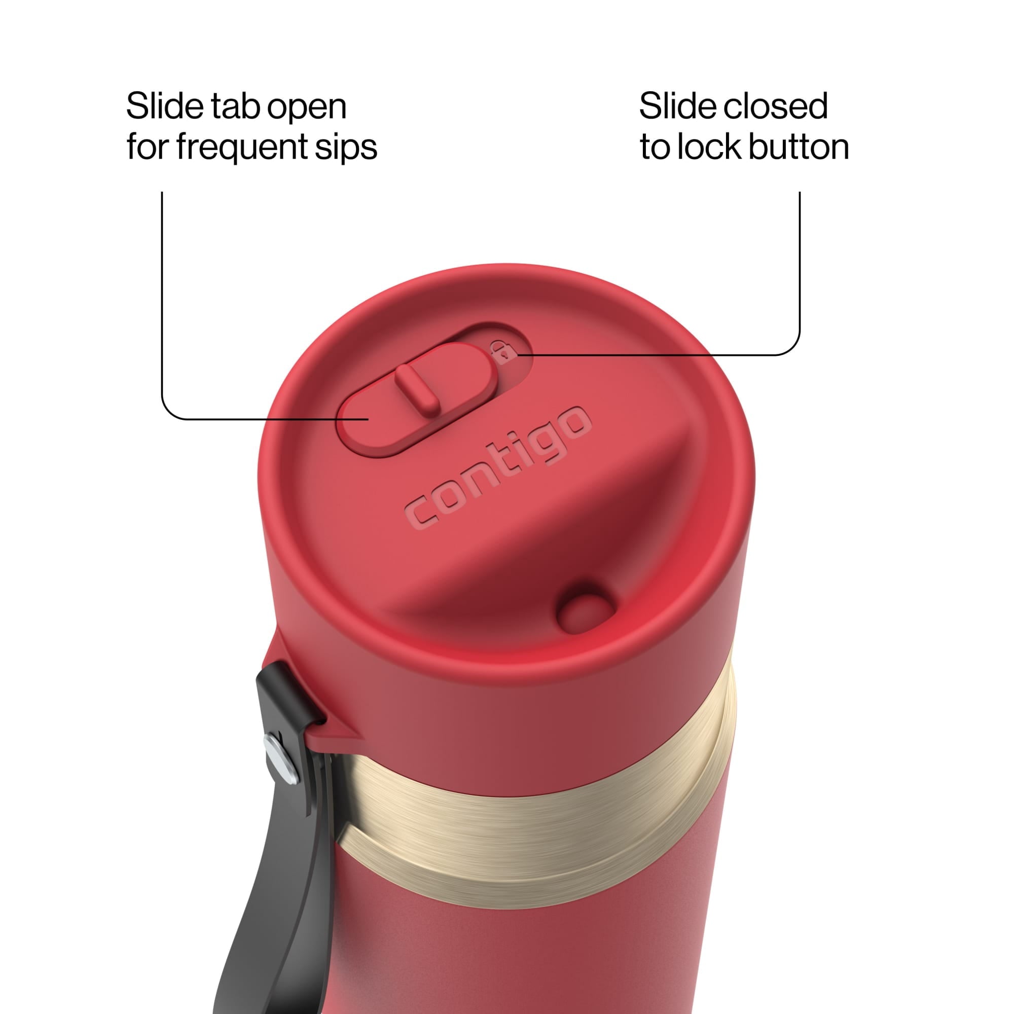 Contigo AutoSeal Leakproof Stainless Steel Reusable Water Bottle Tumbler with Carrying Strap, Cream/Champagne, 24 oz M19Q