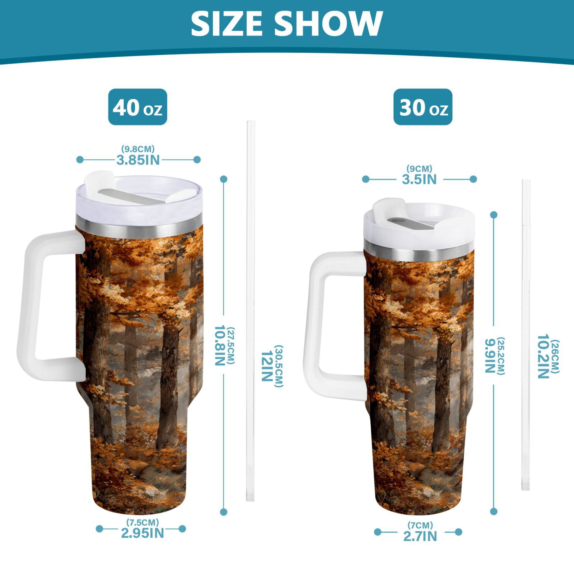 30 oz Insulated Stainless Steel Tumbler Double Wall Stainless Steel Tumbler with 2-Way Drinking Beautiful Autumn Forest M556T