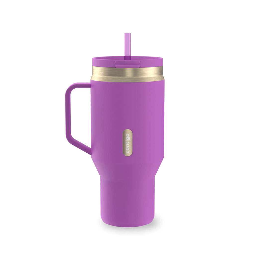 Contigo SnapSeal Leakproof Stainless Steel Reusable Water Bottle Tumbler with Side Handle, Black/Bronze, 30 oz M15C