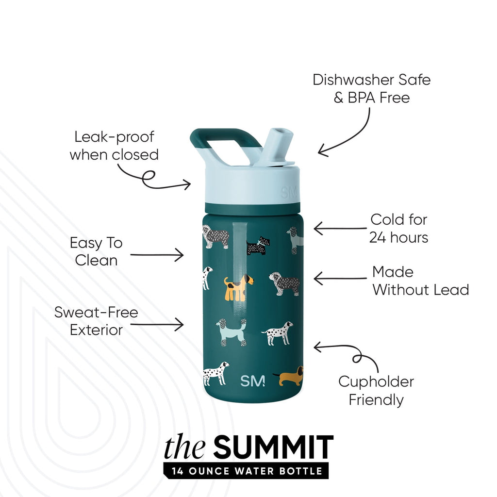 Simple Modern 14oz Summit Water Bottle with Straw Lid | Confetti M429N