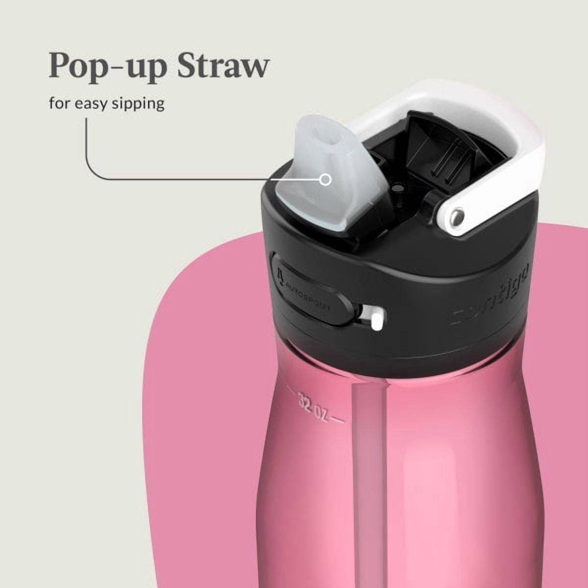 Contigo Ashland 2.0 32 oz Licorice BPA Free Water Bottle M39F