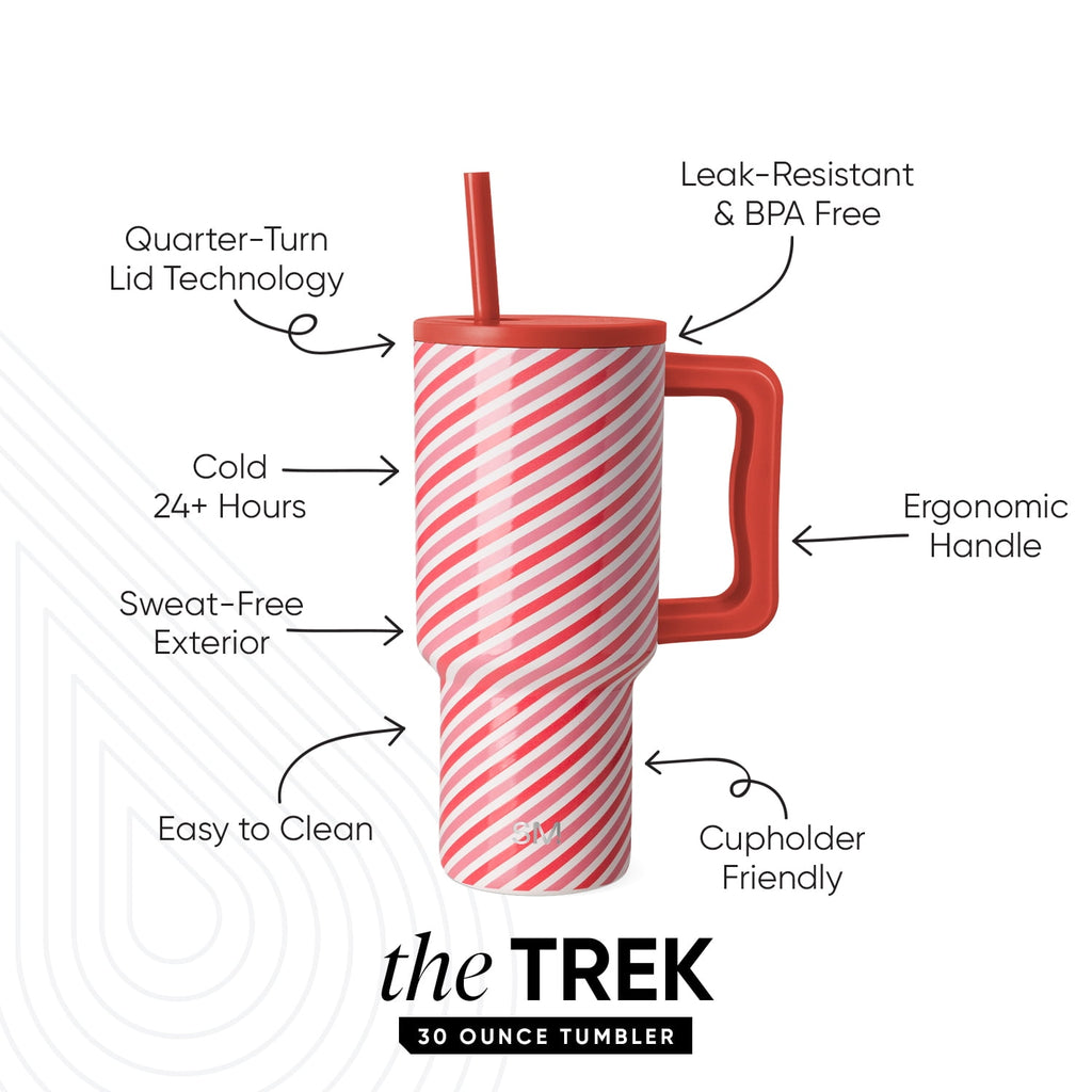 Simple Modern 30 fl oz Insulated Stainless Steel Trek Tumbler with Straw Lid | Seaglass Sage and Cream Checkmate M690W